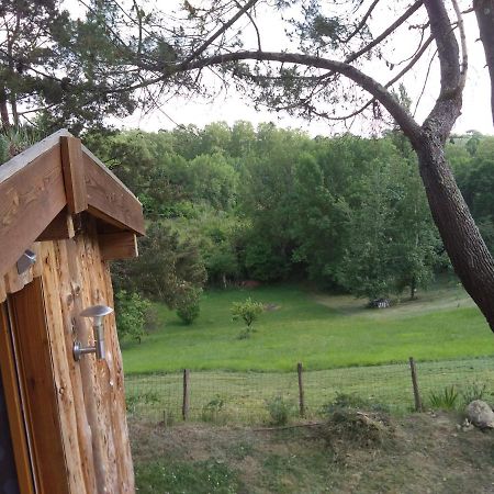 La Cabane En Bois Villemur-sur-Tarn Luaran gambar