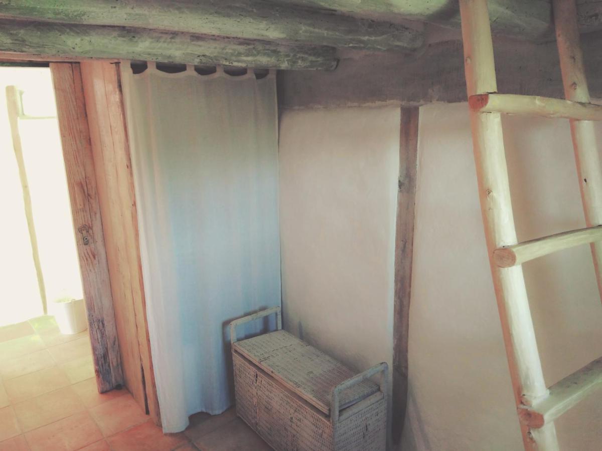 La Cabane En Bois Villemur-sur-Tarn Luaran gambar