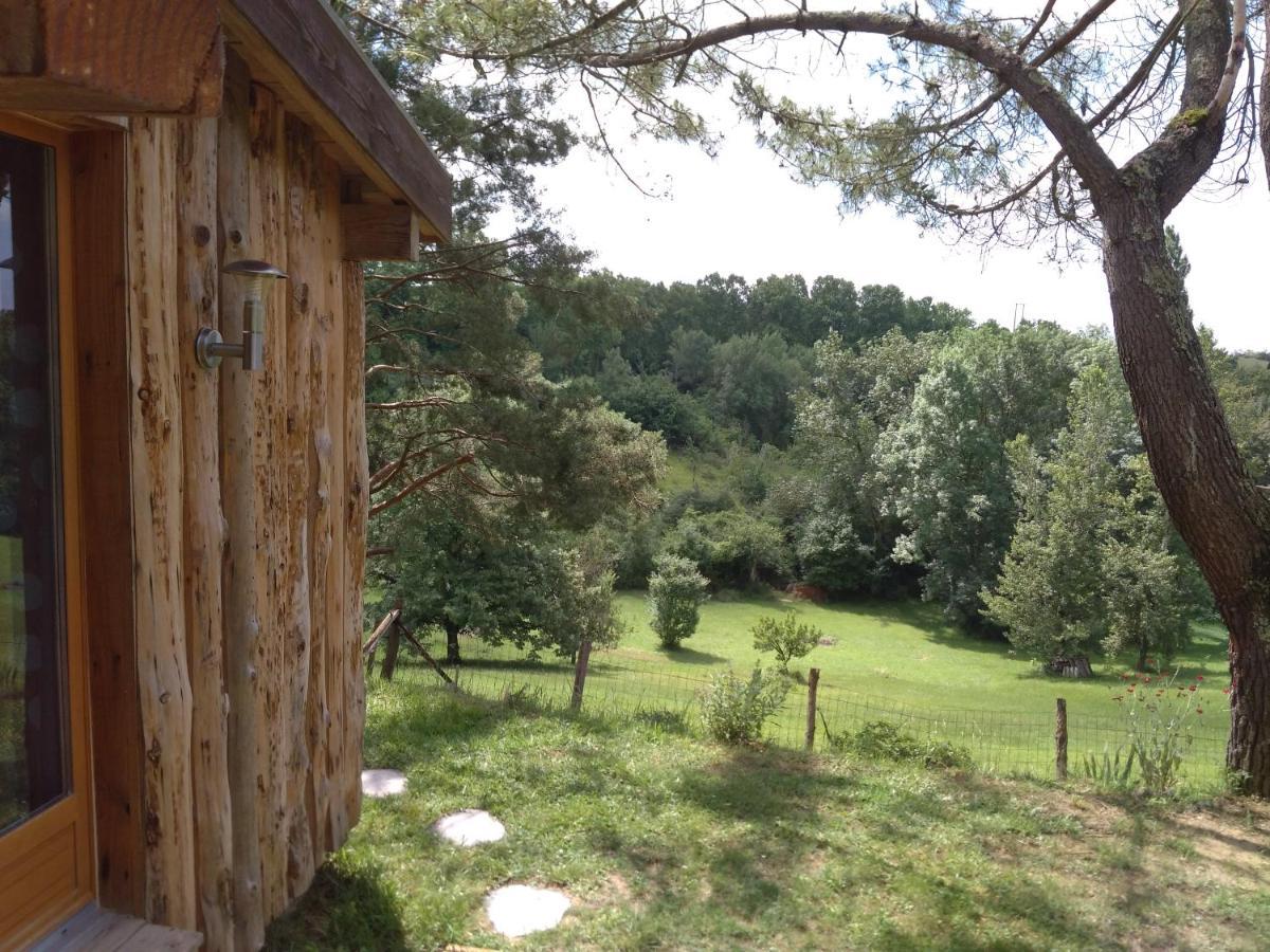 La Cabane En Bois Villemur-sur-Tarn Luaran gambar