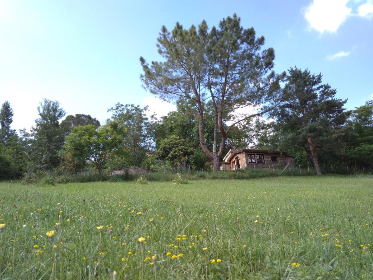 La Cabane En Bois Villemur-sur-Tarn Luaran gambar