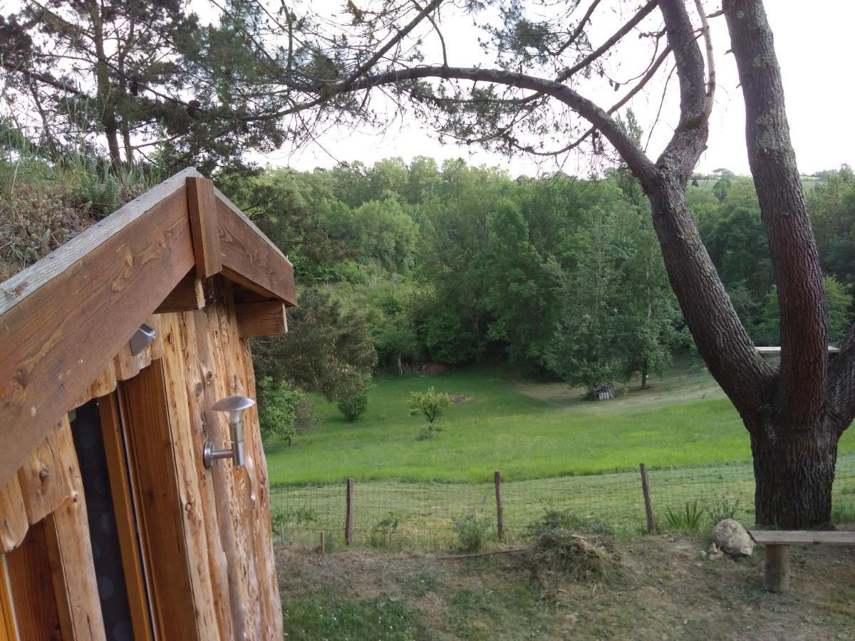 La Cabane En Bois Villemur-sur-Tarn Luaran gambar