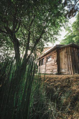 La Cabane En Bois Villemur-sur-Tarn Luaran gambar